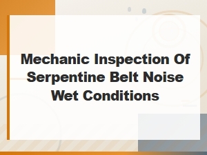 Serpentine Belt Noise in Wet Conditions Mechanic Inspection Guide