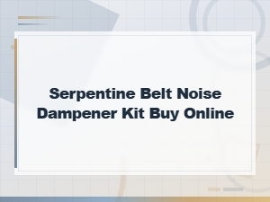 Buy Serpentine Belt Noise Dampener Kit Online – Moisture Management Solutions
