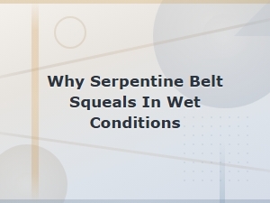 Why Your Serpentine Belt Squeals in Wet Weather and How to Fix It