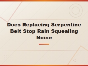 Does Replacing the Serpentine Belt Stop Rain Squealing Noise?
