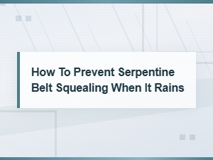 How to Prevent Serpentine Belt Squealing When It Rains