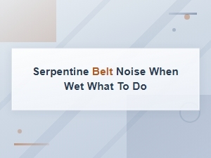 Serpentine Belt Squealing When Wet: Quick Fixes and Remedies