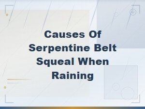 Serpentine Belt Squeal When Raining: Common Causes and Fixes