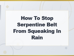 How to Stop Your Serpentine Belt From Squeaking in Rain