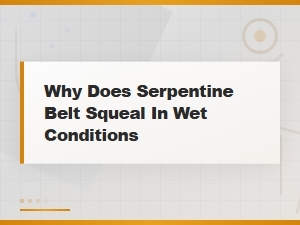 Why Does Serpentine Belt Squeal in Wet Conditions